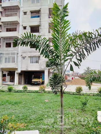 Advanced Crown Garden বারিধারা