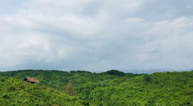 chunati wildlife sanctuary Image