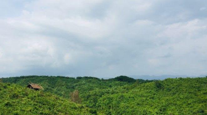 chunti wildlife sanctuary এর ছবি