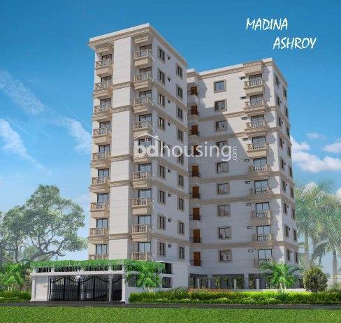 Madina Ashroy Basabo Insights