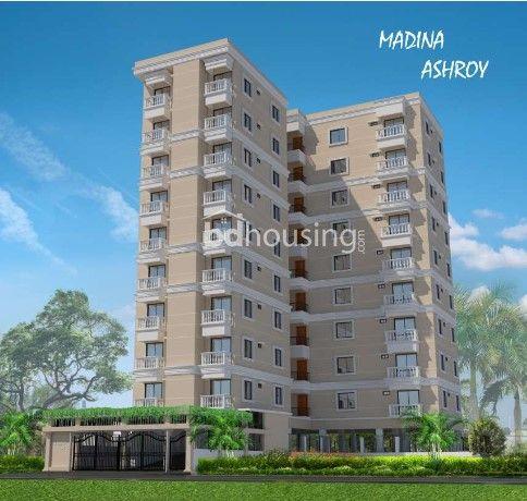 madina ashroy left side view Basabo