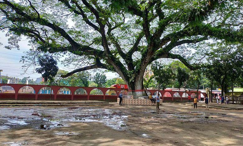 sholakia eidgah field Image