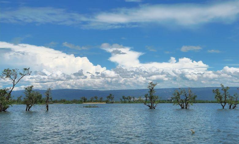 tanguar haor এর ছবি