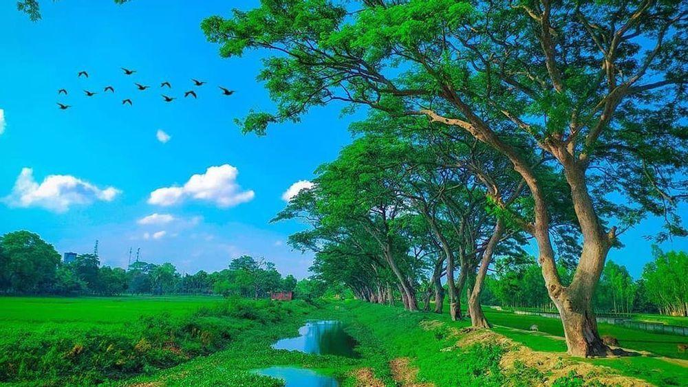 gaibandha area guide এর ছবি