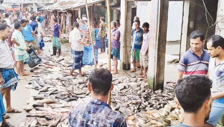 barishal district fish wholesale market Image