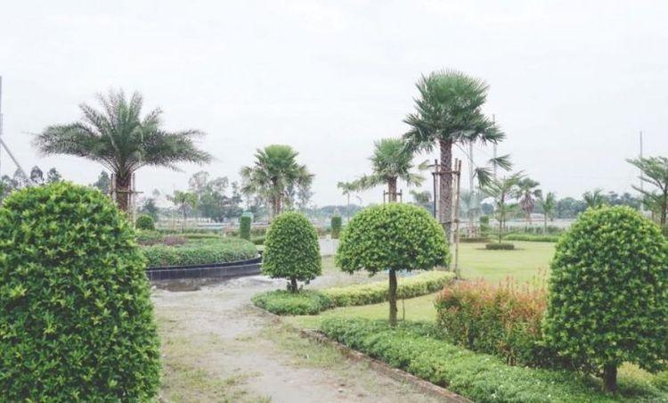 demra botanical garden এর ছবি