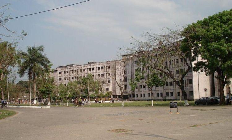 medical more এর ছবি