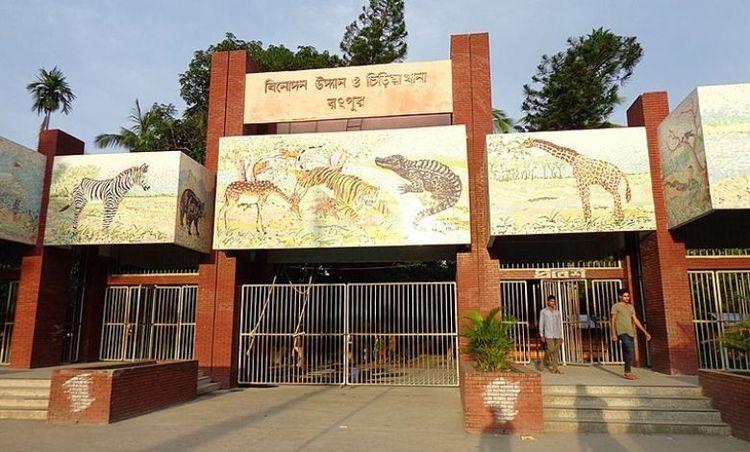 dhap more এর ছবি