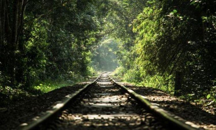 lawachara national park Image