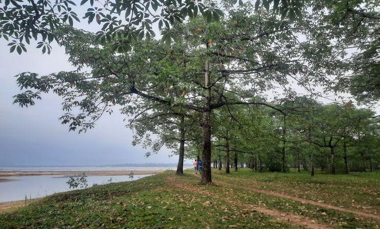 taherpur shimul garden এর ছবি