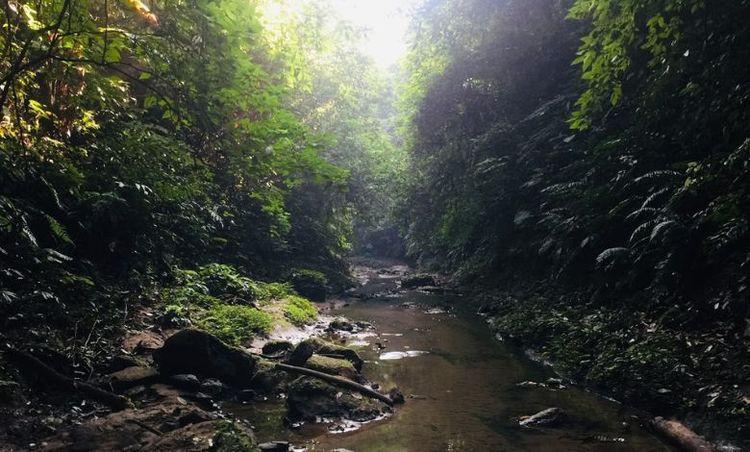 lasuban canyon Image