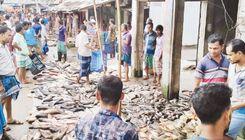 barisal district fish wholesale market Chawk Bazar