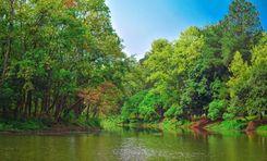 Bhawal National Park Gazipur