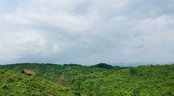 chunati wildlife sanctuary Lohagara