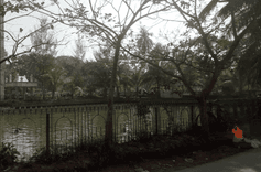 gorosthan road pond লঞ্চঘাট