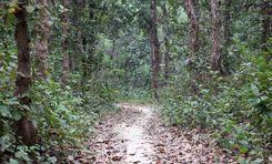 kadhighor national park ভালুকা