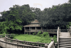 kazi and kazi tea estate পঞ্চগড়