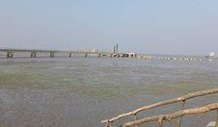 magdhara ferry ghat Sandwip