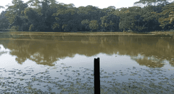 shat shatiner dighi সিটিগেট (গইরারপার)