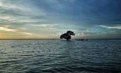 hakaluki haor Borolekha