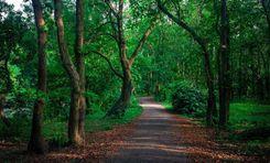 madhupur-gor Tangail