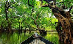 ratargul swamp forest Sylhet