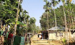 khasia polli কানাইঘাট