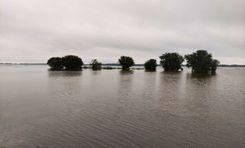 patachatal beel বালাগঞ্জ