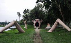 vinno jogot cave ভিন্ন জগত