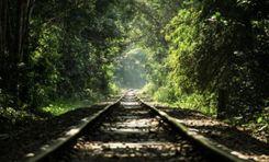 lawachara national park Sreemangal